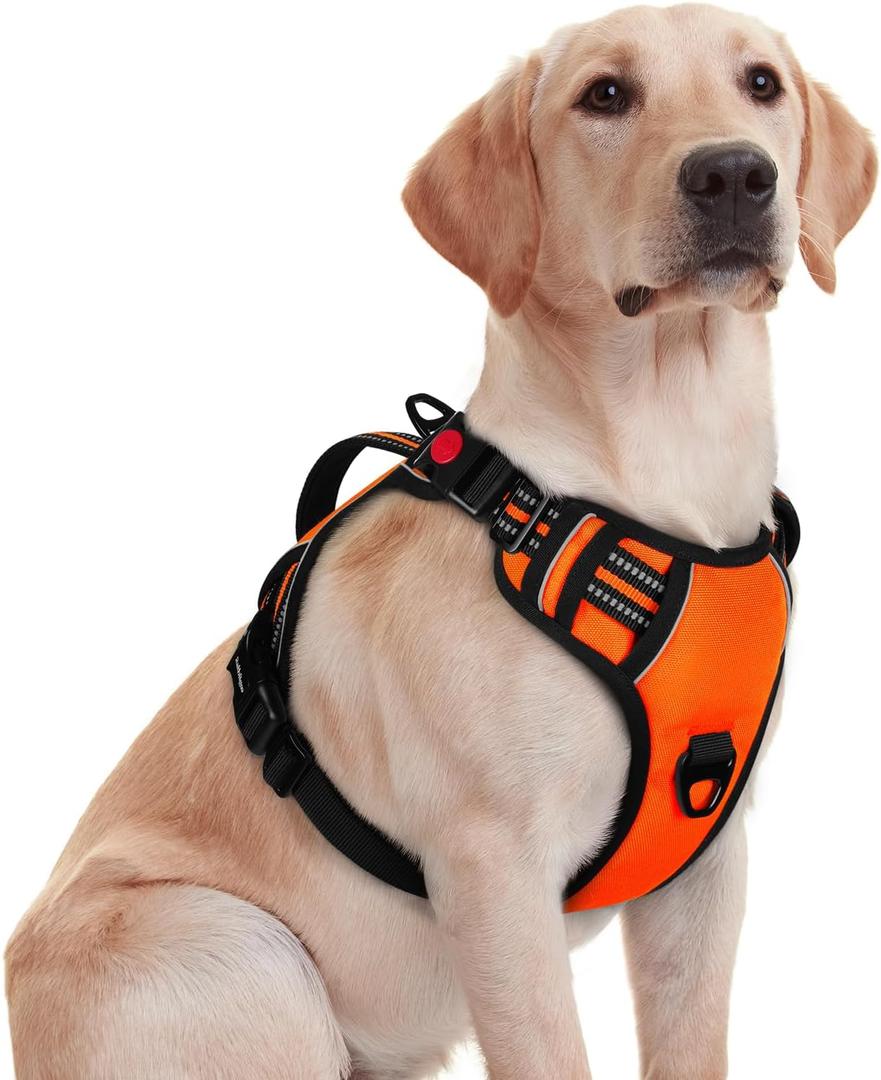 rabbitgoo Dog Harness for Large Dogs, No Pull Pet Harness with Soft Padded Handle, Adjustable Reflective Vest with 3 Buckles, Easy Walking Harness with 2 Leash Clips, Orange, Medium