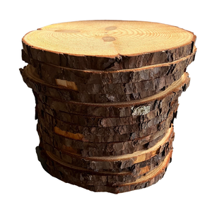 Rustic Wood Slices Set of (11) 7-8 inch Natural Wood Rounds, Woodland Decor, Shower and Event Decor (11)