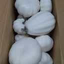 CCINEE 12PCS White Artificial Pumpkins,Assorted Size Foam Pumpkins for Halloween Thanksgiving Fall Table Centerpiece Party Decoration