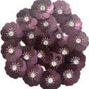 20 pcs Purple Sequin 1 1/4" Flowers Beading Applique, Crystal Beaded Mix Flower Applique sew on Cloth Patch DIY Garment Accessory Cloth Headband Decor