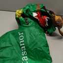 tasanor Blow Up Raptor Costume,Inflatable Costumes for Kids,Inflatable Dinosaur Costume,Halloween Costumes for Girls/Boys (2-3YRS)