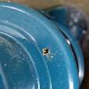 Metal Squirrel Proof Bird Feeders for Outdoors Hanging 4.0 LB Large Capacity, Easily Beat Squirrels, Easy to Clean and Fill, Waterproof, Attracting Finch, Cardinal, Chickadee and More