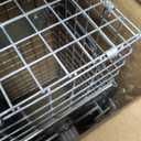Havahart Easy-Set Catch and Release Small 1-Door Humane Live Animal Trap for Squirrels, Rabbits, Skunks, and Other Small Animals - 1083