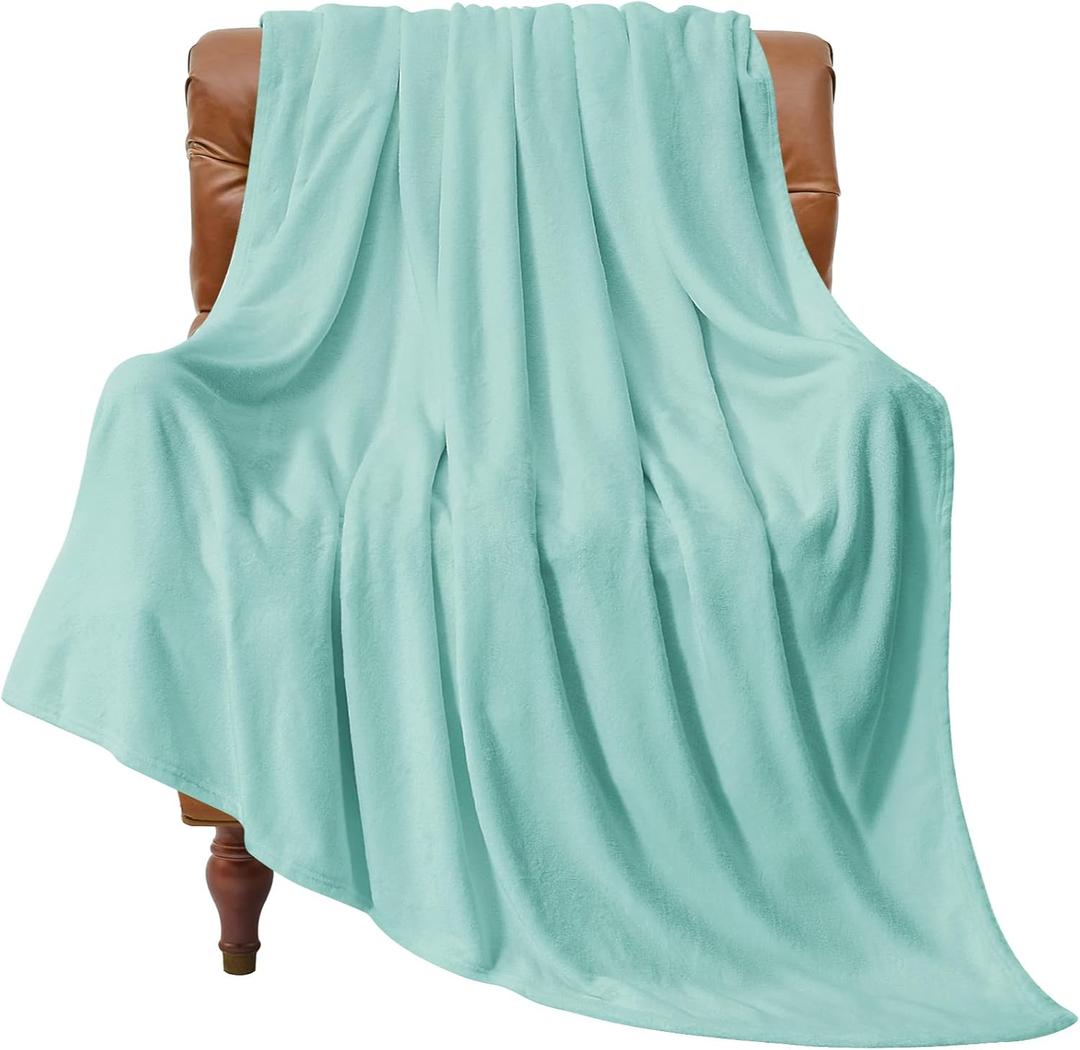 BEDELITE Fleece Blanket Twin Size Haze Blue Throw Blankets for Couch & Bed, Luxury Plush Cozy Fuzzy Blanket 60x80 inches, Super Soft Warm Lightweight Throw Blanket for Travel Camping