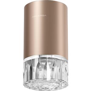 Airversa Waterless Essential Oil Diffuser for Home Room Desk Car Air Freshener Diffuser, Up to 600 sq ft, Battery Operated, Mist Level and Timer Settings, 100mL Capacity, Cold Air, RD1 Titanium