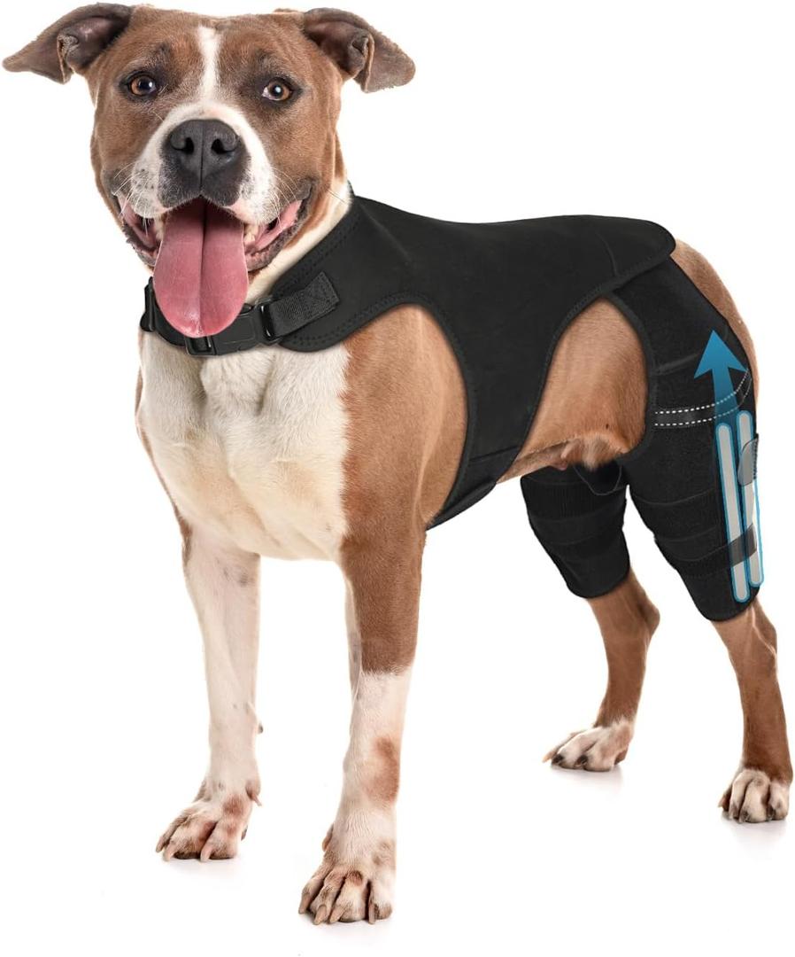 Dog Knee Brace for Hind Leg Adjustable Dog Rear Leg Support Brace with 4 Metal Stabilizers, Helps with Torn CCL, Luxating Patella, Ligament Injuries, Hip Dysplasia, L