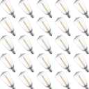 25 Pack Edison E12/C7 Low Wattage Outdoor Light Bulbs - 1W, 2700K, Shatterproof, ST38 Edison LED Bulbs