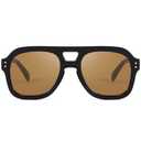 FEISEDY Vintage Aviator Sunglasses Double Bridge Women Men Large Square Thick Frame Trendy Eyewear UV400 B2846 (Black Frame & Tea Lens)
