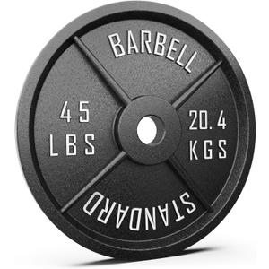 Synergee Standard Metal Weight Plates with 2 Opening for Bodybuilding, Olympic & Power Lifting Workouts. Metal Weight Plates Sold in Singles, Pairs & Sets 45 lbs