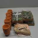 MTLEE 24 Pcs Succulent Tealight Candles - Bulk Baby Shower & Party Pack with Terracotta Pot, Organza Bag, Tags, Twine
