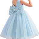 Flower Girl Dress Kids Satin Tulle Wedding Guest Party Birthday Bridesmaid Communion Pageant Prom Ball Gown Maxi (8 Years, A-baby Blue)