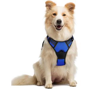 rabbitgoo Dog Harness No Pull with 2 Leash Clips, Adjustable Soft Padded, Reflective Oxford No Choke Pet Vest with Easy Control Handle for Medium Sized Dogs, Dazzling Blue, M