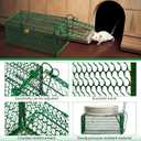 Qualirey 4 Pcs Humane Rat Trap Chipmunk Squirrel Cage Trap 4.33 x 4.33 x 9.06 Inches Foldable Rodent for Small Live Animal Voles Hamsters Catch and Release for Kitchen Yard Garage (Green)