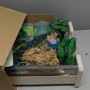 Battat Education  Tracing Light Box for Kids  Sensory Light Up Board  Educational Toys for Toddlers  Includes Double  Sided Tracing Cards  Bright Explorer