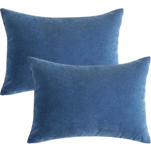 Ripeng 2 Pcs Small Pillows Down Alternative Microfiber Mini Pillows Soft Machine Washable Breathable Tiny Cushion for Travel Sofa Chair Sleeping Neck Wrist Lumbar Knee Support(14"x10",Blue)