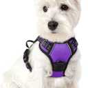 rabbitgoo Dog Harness No Pull with 2 Leash Clips, Adjustable Soft Padded, Reflective Oxford No Choke Pet Vest with Easy Control Handle for Puppy, Purple,XS