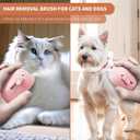 2 x 4 in 1 Cat Steam Brush for Shedding, Rechargeable Steam Pet Hair Brush for Indoor Cats, Massage, Cleaning, Shedding, Combing & Remove Floating Hair All In One(Pink)
