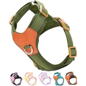 Green Medium Dog Harness for Medium Dogs, No Pull Dog Harness with 2 Leash Clips, Puppy Harness, Dog Vest Harness(Green, M)