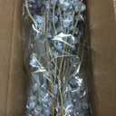 HyeFlora Silver Seeded Dried Eucalyptus Branches - 12-16 Stems (2 Bundles) Natural Undyed Pods for Boho Home Decor, Wedding Floral & Wreath DIY Crafts (Dried Flowers)