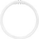 Satco S8155 3000K 22-Watt 2GX13 T5 Circline High Performance Lamp, Warm White