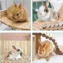 Hamiledyi Chinchilla Wooden Suspension Bridge Platform Toy, Small Animal Climbing Toys for Guinea-Pigs Sugar Glider Squirrel and Other Small Animals (Birch)