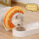ANWA Adjustable Cat Cone Collar Soft, Cute Cat Donut Collar After Surgery, Kitten Recovery Cones to Stop Licking (Orange, S)