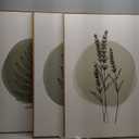 HOURIA Sage Green Leaves Framed Canvas Wall Art Set,Minimalism Boho Leaf Wall Decor, Modern Nature Botanical Wall Painting,Mid Century Plant Art Prints for Living Room,Bedroom,Farmhouse-24 x36 x3