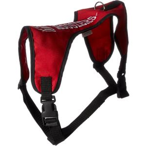 Pets First Collegiate Pet Accessories, Pet Harness, Indiana Hoosiers, Medium