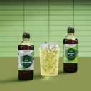 SodaStream Classics Diet Ginger Ale New Pour Bottle, 14.9 Fl Oz (Pack of 4) (EXP 02/07/27)