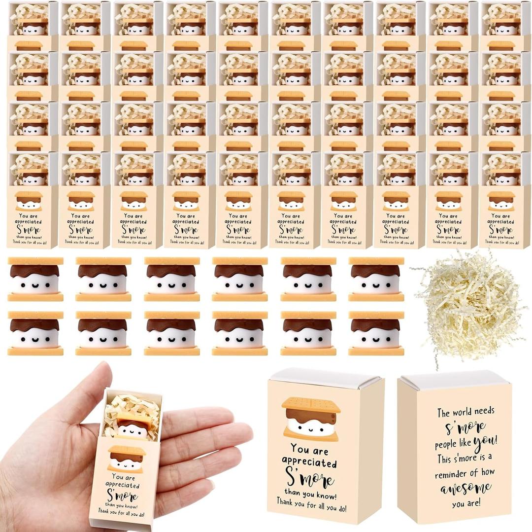 Wettarn 50 Sets Volunteers Appreciation Gifts S'more Gifts Bulk Marshmallow with Box Office Party Favors Thank You Gift Rewards for Teacher Nurse Coworkers Staff Team Employee (Marshmallow)