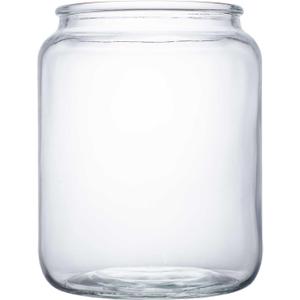 Jar Glass for Squirrel Feeder