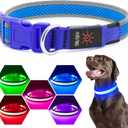 Flashseen LED Dog Collar, Light Up Dog Collar USB Rechargeable, Brightest Dog Lights for Night Walking, Adjustable Dog Collar Light for Dog Safety(Medium, Royal Blue)