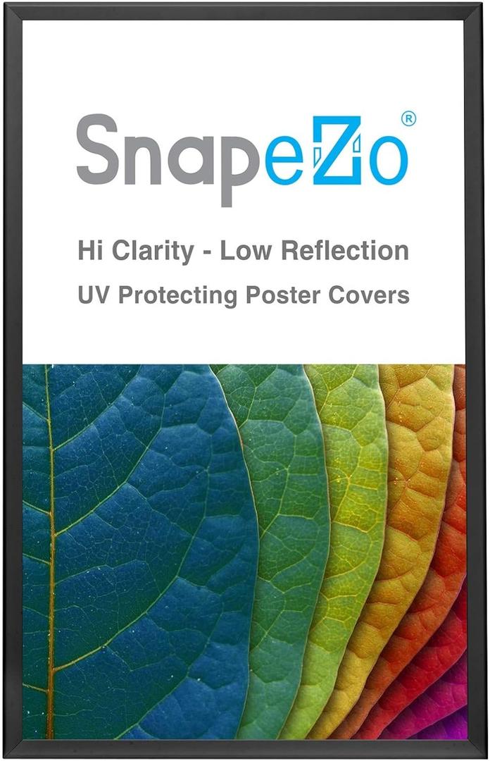 SnapeZo Poster Frame 32x50, Black, 1.25 Inch Aluminum Profile, Front-Loading Snap Frame, Wall Mounting, Professional Series