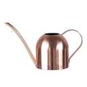 E.Palace Watering Can for Indoor Plants, 30oz Long Spout Stainless Steel
