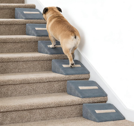 Foam Dog Ramp for Stairs, Low-Impact Climbing Dog Stairs for Senior Dogs
5.1"H, 6 Pack, 40D High-Density Foam Won't Collapse, Protects Joints, Anti-Slip & Self-Sticky Pads, Washable Cover, Grey