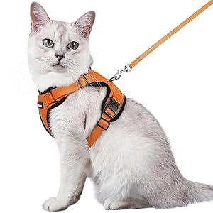 rabbitgoo Cat Harness and Leash for Walking, Escape Proof Soft Adjustable Vest Harnesses for Cats, Easy Control Breathable Reflective Strips Jacket, Orange, M