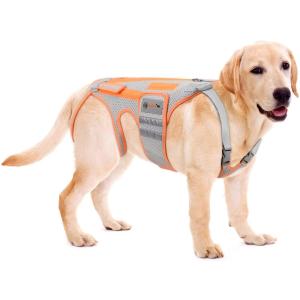 Dog Back Brace for Arthritis, Dog Hip Brace for IVDD, Frame Support Harness for BackKeeps The Back Stable and Reduces Movements and Pains (XL)