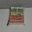 Saints Volume 3: Boldly, Nobly, and Independent | 1893-1955 by The Church of Jesus Christ of Latter-day Saints (Author)