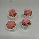 Der Rose 4 Packs Fake Succulents Plants Artificial Indoor for Pink Room Bathroom Decor Office Desk Accessories for Women