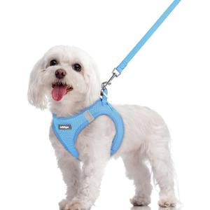 Rabbitgoo Dog Harness Small Sized and Leash Set, Step in Soft Light Puppy Vest, Breathable Mesh Pet Harness, Reflective for Safe Easy Walking, Blue, (M (Chest: 16 - 18.5"))