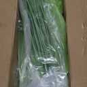 Artificial Plants 2 Pcs Artificial Alocasia Plants 28inch Faux Alocasia Tree Large Fake Plants Family Office Indoor Outside Decor