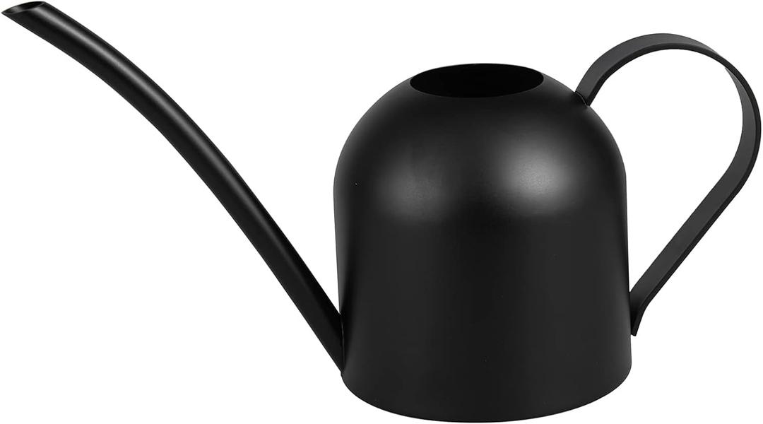 IMEEA Small Watering Can for Indoor Plants Stainless Steel Watering Can with Long Spout 15oz/450ml, (Black)
