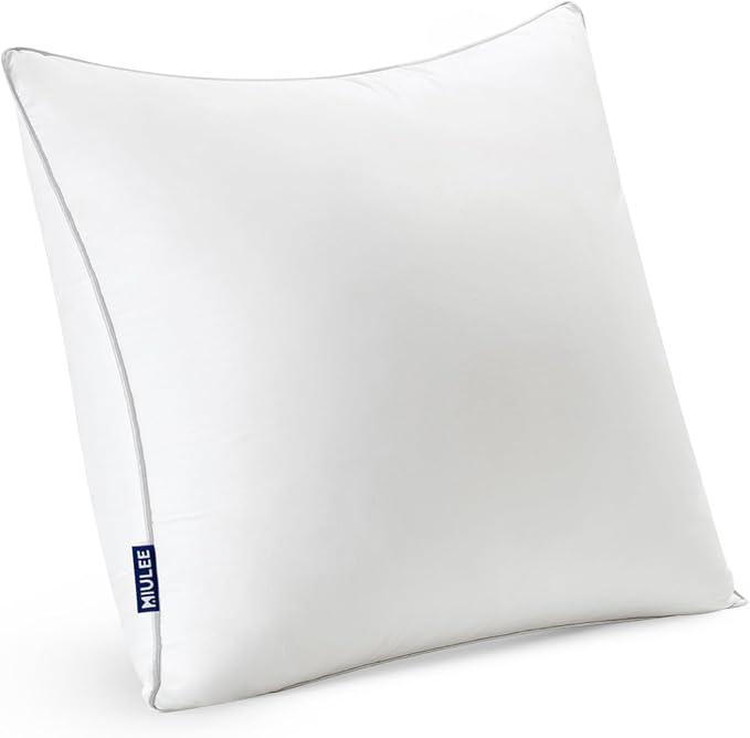MIULEE 22 x 22 Pillow Inserts  Decorative Throw Pillows for Sofa Couch with 100% Cotton Covers. 1 Piece
