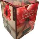 Amaryllis Charisma Holiday Gift Growing Kit. Includes: Big Charisma Bulb, Plastic Pot and Saucer, and Professional Growing Medium