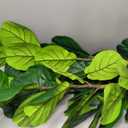 Artificial Fiddle Leaf Fig Tree 6FT with White Tall Planter-Large Faux Tree Tall Fake Floor Plant in Pot,Artificial Plants Indoor for Home Office Living Room Décor(Lyrata 6FT)