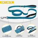 Fida 10ft Heavy Duty Dog Leash with 2 Comfortable Padded Handles, Traffic Handle & Advanced Easy Snap Hook, Reflective Walking Lead for Large, Medium & Small Breed Dogs,Blue