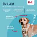 HALTI No Pull Harness - To Stop Your Dog Pulling on the Leash. Adjustable, Lightweight and Easy to Use. Reflective Dog Training Harness for Medium Dogs (Size M) (Black)