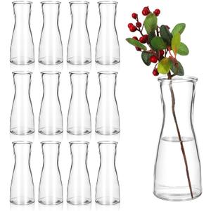 12 Pieces Glass Bud Vases for Centerpieces Clear Bulk Small Flowers Vases, Modern Minimalist Cute Decorative Table Centerpieces for Decor Wedding Birthday Party Home Living Room