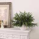 40 Pcs Real Touch Norfolk Pine Branches, Artificial Christmas Green Plants Branch Faux Greenery Stem Fake Pine Picks for Vase DIY Crafts Garland Wreath Xmas Indoor Outdoor Decor(18 Inches)