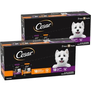 Cesar Mini-Pouch Wet Dog Food, Filet and Chicken, 1.76 oz, 20 Count, 2-Pack (EXP 12/21/27)
